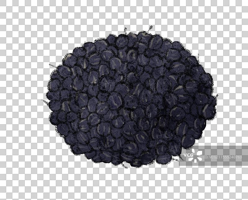 青海美食国风插画-黑枸杞图片素材