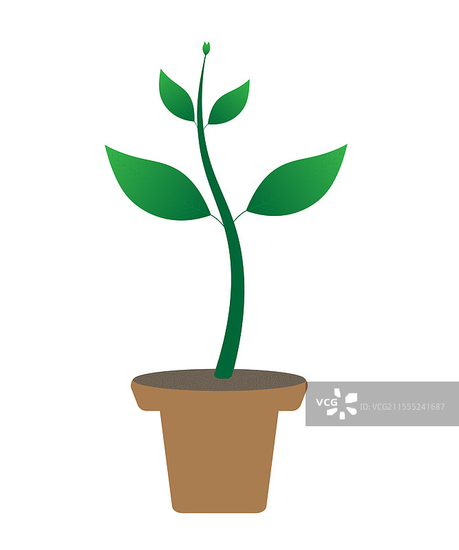 幼苗图片素材