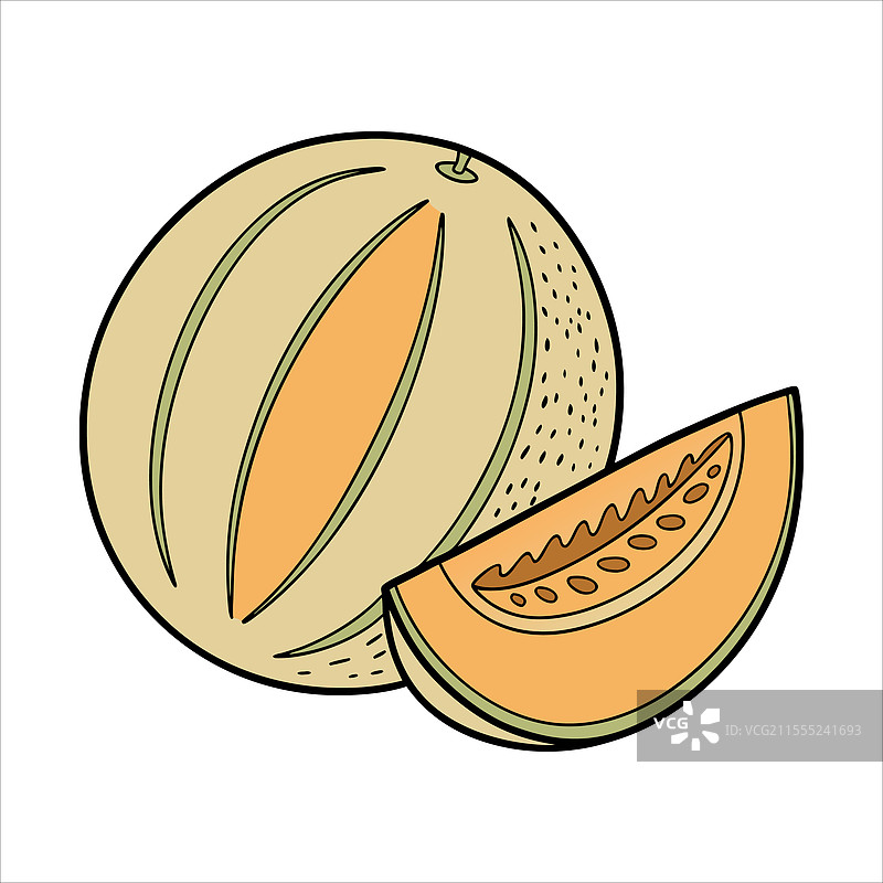 哈密瓜水果艺术图片素材