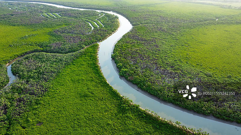 东寨港红树林图片素材