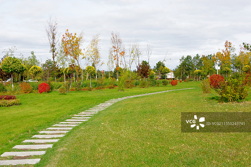 黑龙江齐齐哈尔依安植物园图片素材
