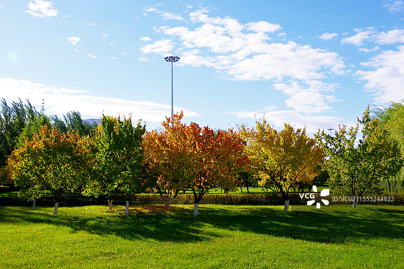 佳城秋色图片素材
