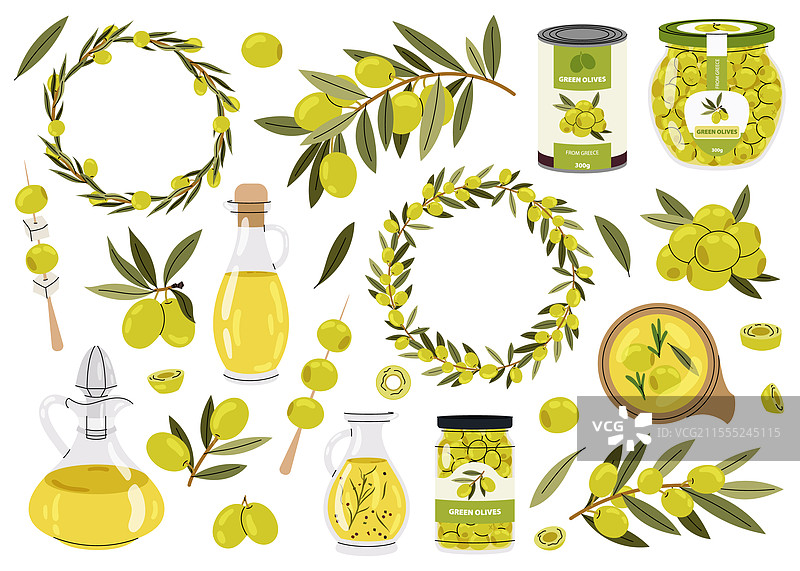 一组绿色橄榄枝和油瓶图片素材