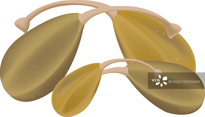 带有特征性钩状茎的刺山柑图片素材