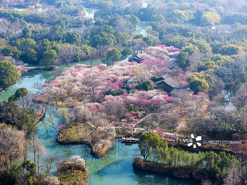 杭州西溪湿地春天梅花图片素材