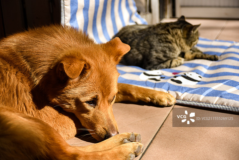 你不看我，我不看你图片素材