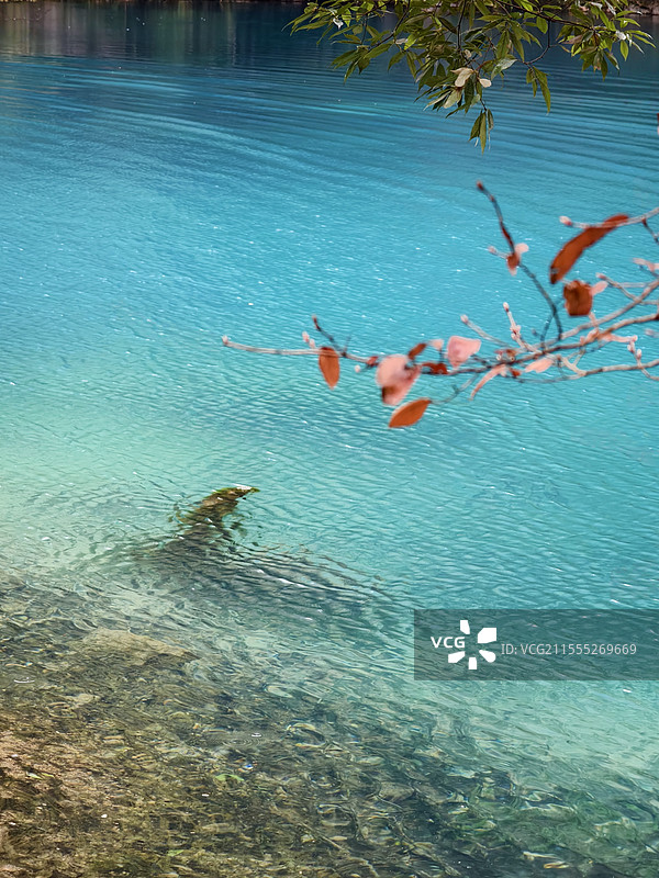 卧龙潭图片素材