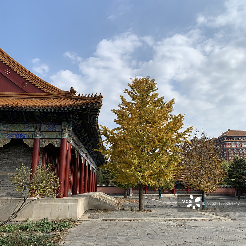 河北香河天下第一城图片素材