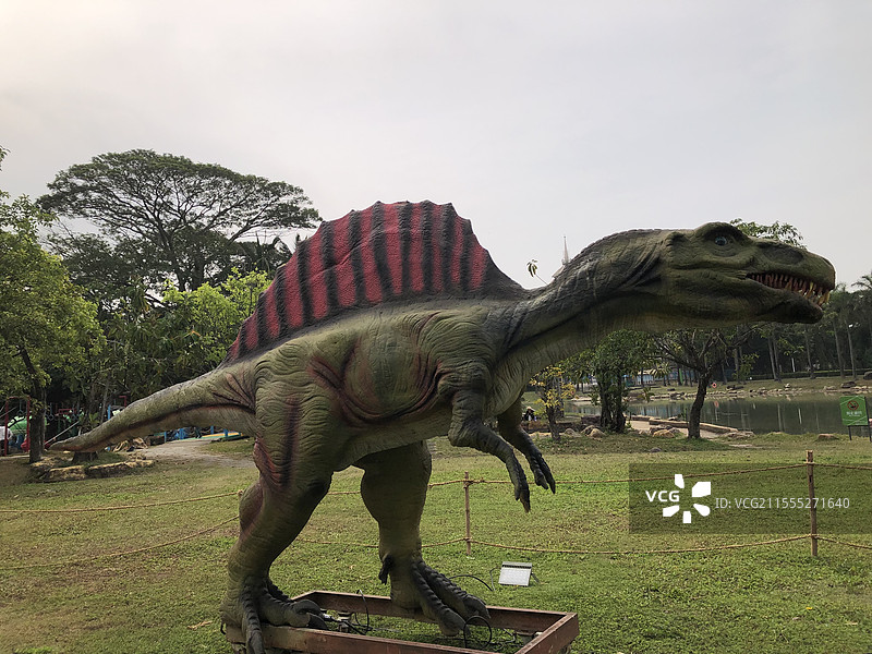 深圳海上田园-霸王龙模型图片素材