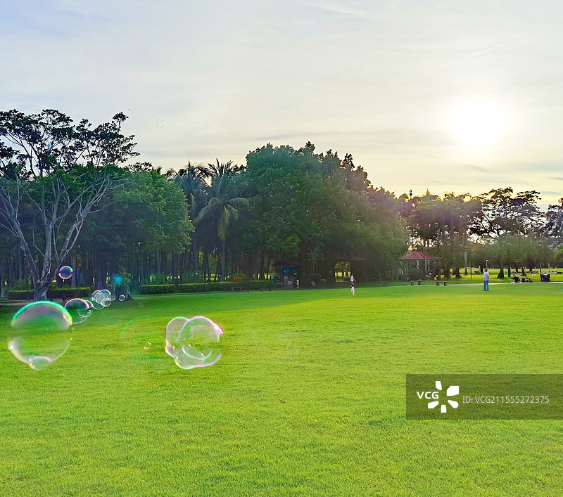 海口市万绿园图片素材