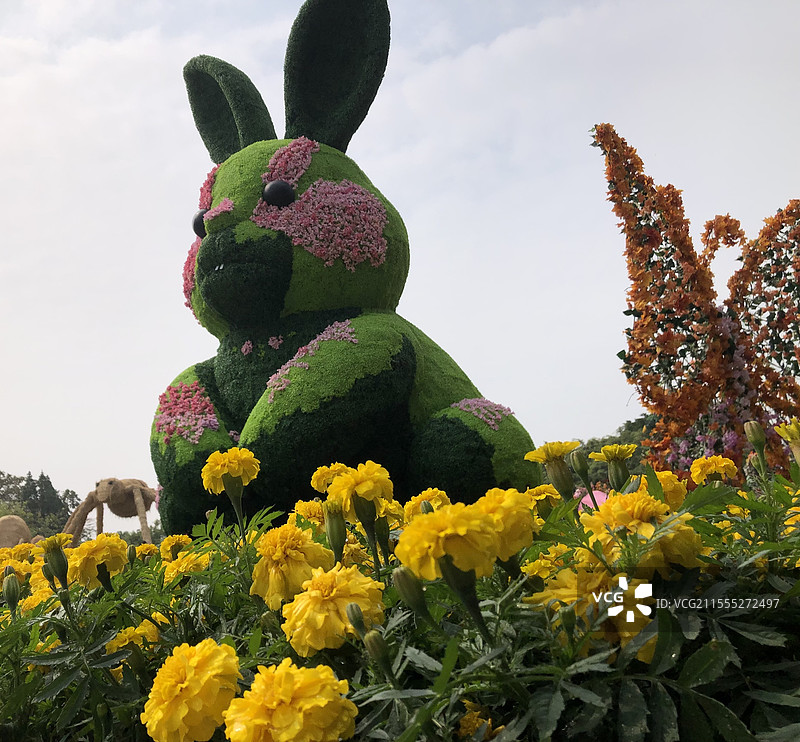 深圳海上田园-熊与蝴蝶图片素材
