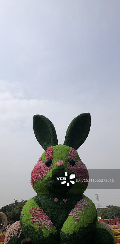 深圳海上田园-一只露出牙齿的可爱兔子图片素材