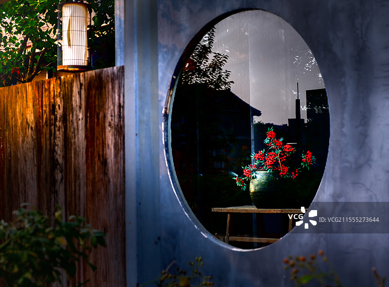 向阳而生图片素材