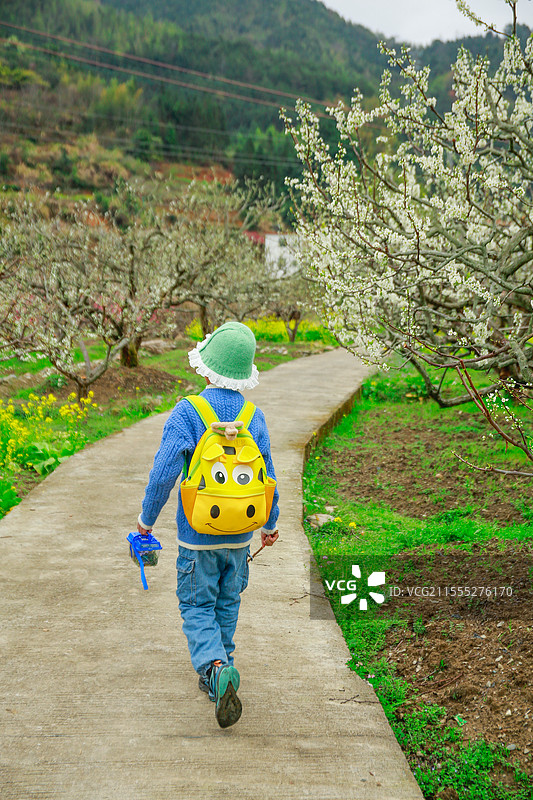 走在花开的小路上图片素材