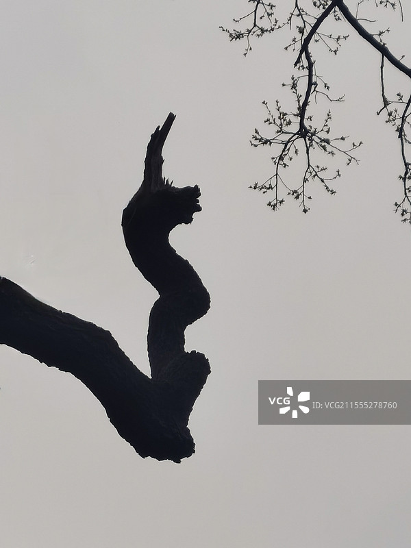 《对话》图片素材