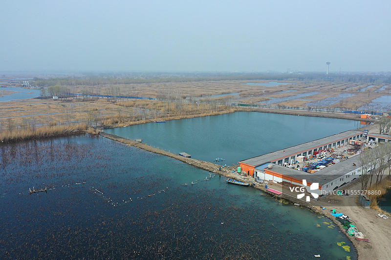 桃红柳绿自成阴，碧浪摇空鸟入云野淀舟船烟水阔，春风露润鲤鱼沉郭里口图片素材
