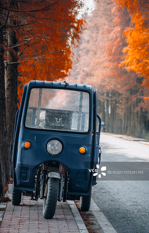 乐昌和村落羽杉图片素材