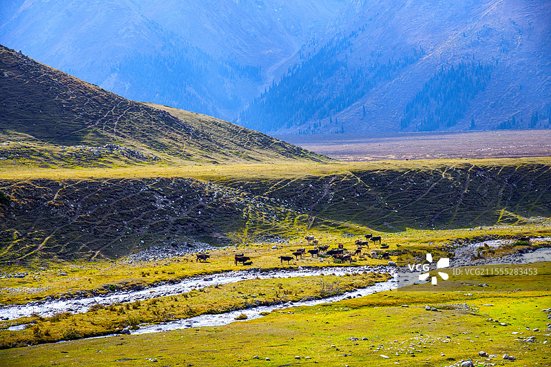 G217国道独库公路独山子段旁乔尔玛天山峡谷草原图片素材