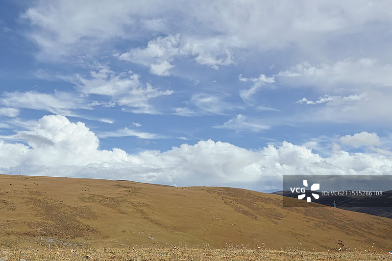 川西5000m平原草地图片素材