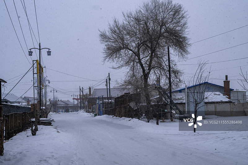 吉林龙潭区雾松岛冬日美景图片素材