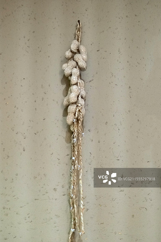 墙上悬挂的花生图片素材