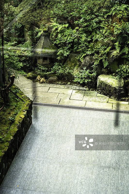 日本东京根津美术馆，庭园景观，自然元素，收藏艺术品图片素材