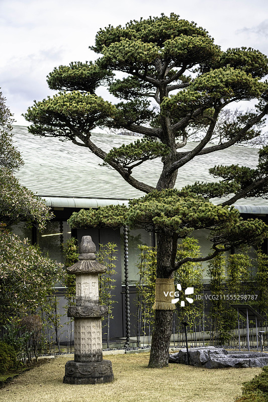 日本东京根津美术馆，庭园景观，自然元素，收藏艺术品图片素材