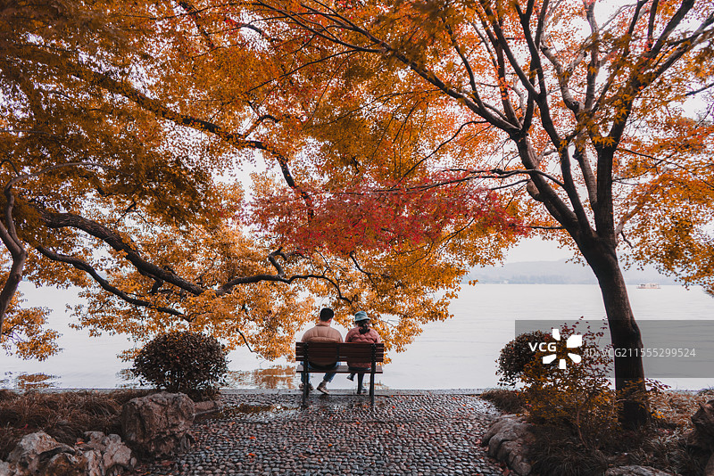 杭州西湖边的秋天，枫叶图片素材