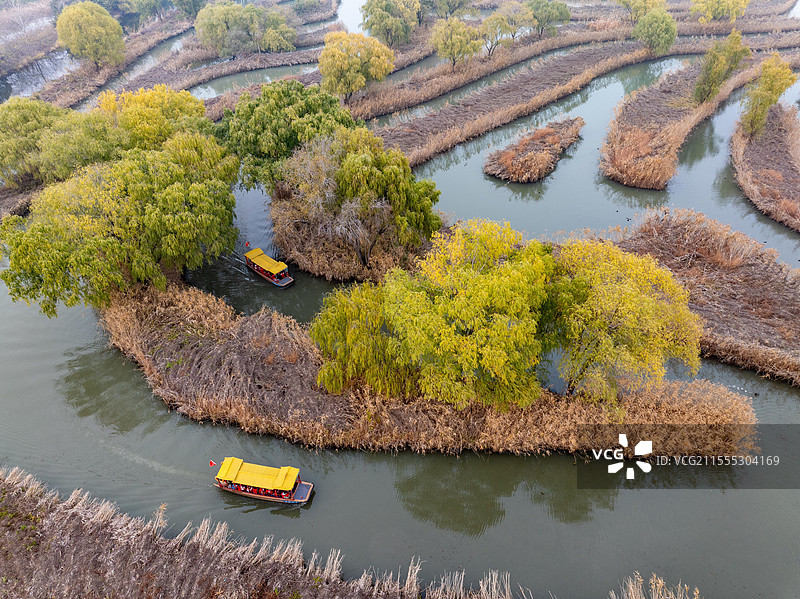 江苏盐城仲冬时节芦苇迷宫画中游图片素材