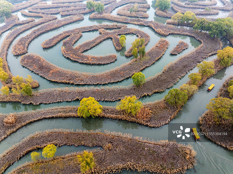 江苏盐城仲冬时节芦苇迷宫画中游图片素材