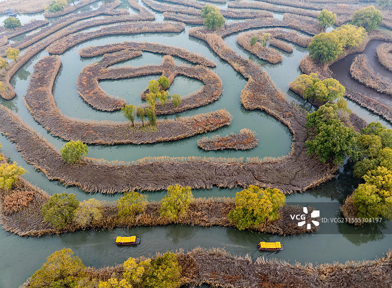 江苏盐城仲冬时节芦苇迷宫画中游图片素材