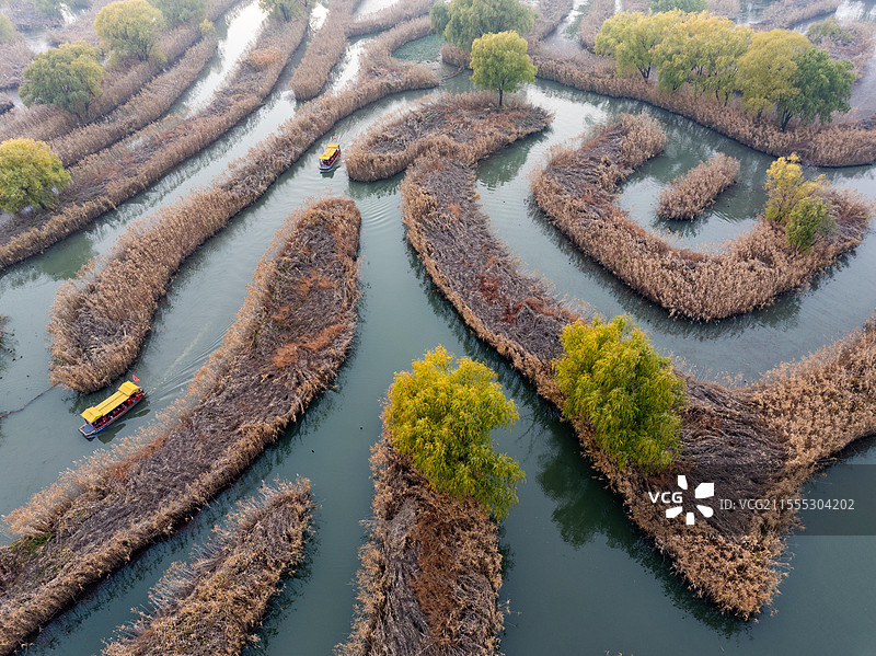 江苏盐城仲冬时节芦苇迷宫画中游图片素材