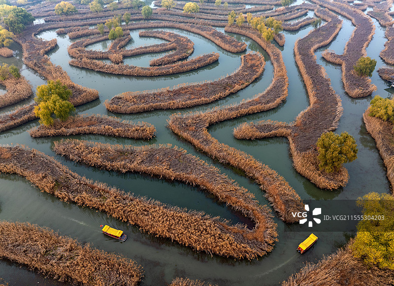 江苏盐城仲冬时节芦苇迷宫画中游图片素材