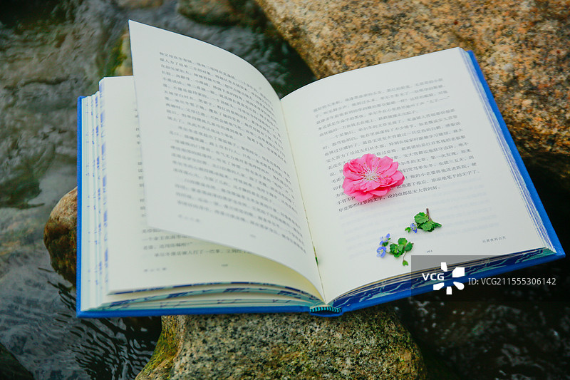 溪石上的书本图片素材