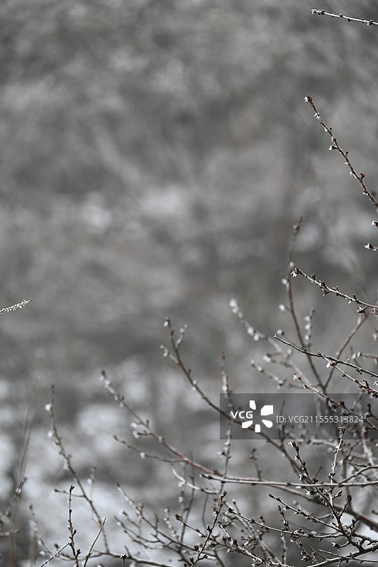 河南焦作神农山图片素材