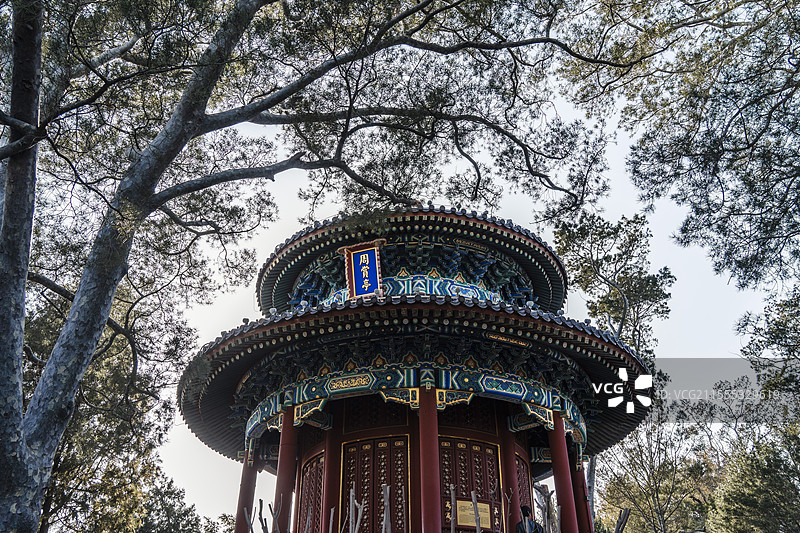 北京景山公园周赏亭建筑与白皮松图片素材