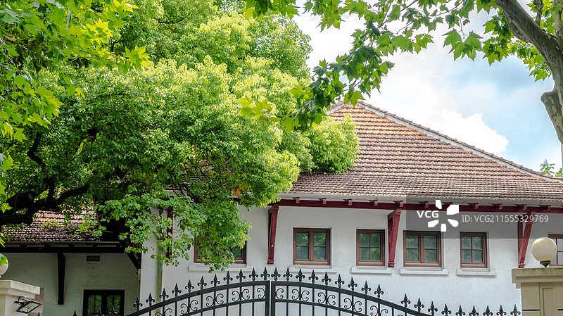 上海武康路老洋房 上海老洋房 梧桐树道路 夏天梧桐树 城市马路旁的房子 旧时代生活 明亮的房子图片素材