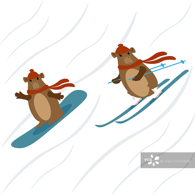 两只可爱的水豚戴着帽子和围巾在骑行图片素材