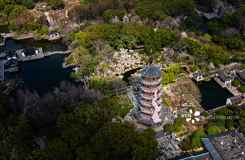 红梅公园图片素材