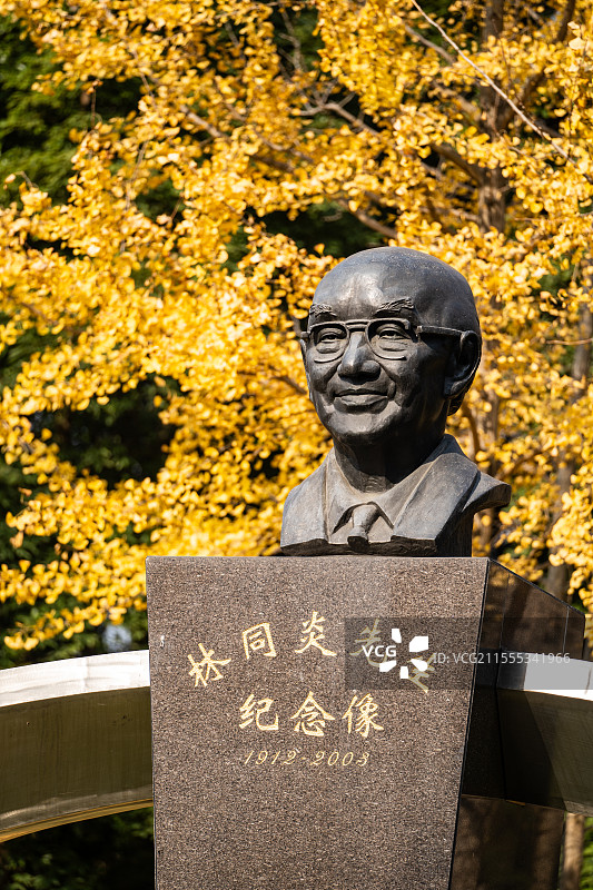 西南交通大学 林同炎先生纪念像土木工程学家校园环境 四川成都高校高等教育铁路院校图片素材