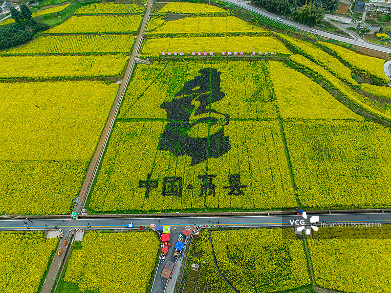 春季乡村田园油菜花稻画盛景宜宾高县图片素材