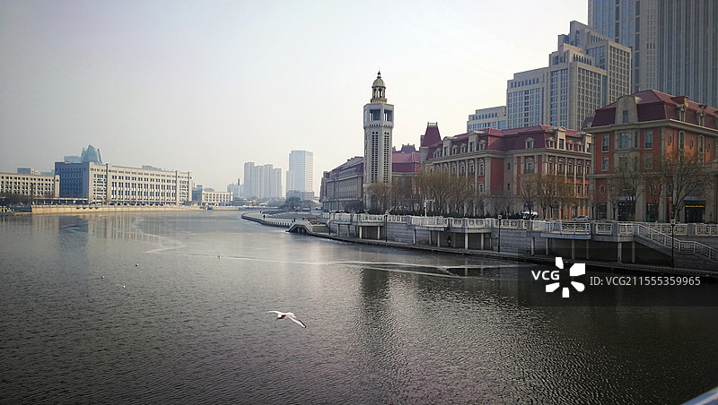 天津海河及沿岸建筑图片素材
