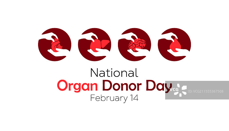 国家器官捐献日图片素材