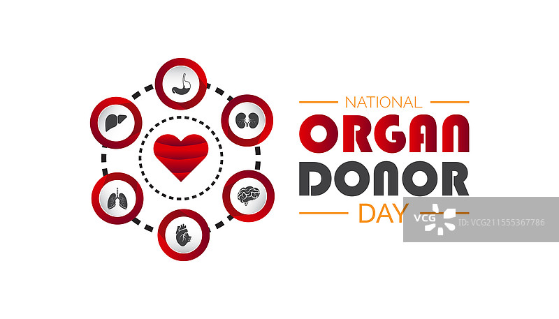 国家器官捐献日图片素材