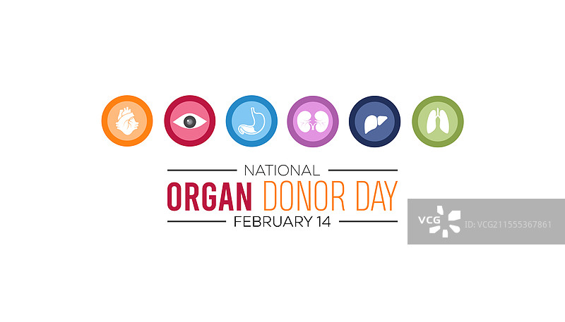 国家器官捐献日图片素材