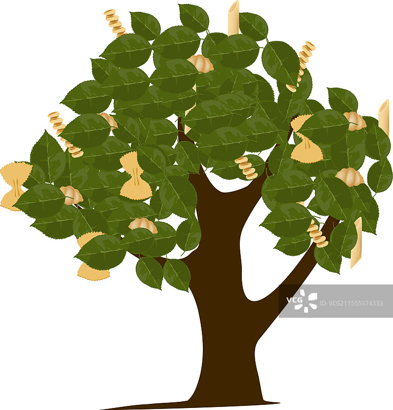 在树叶繁茂的树上生长的意大利面和核桃图片素材