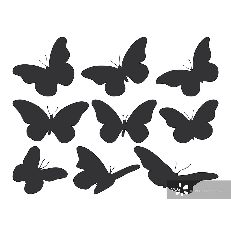 动物 蝴蝶 美丽的装饰图片素材