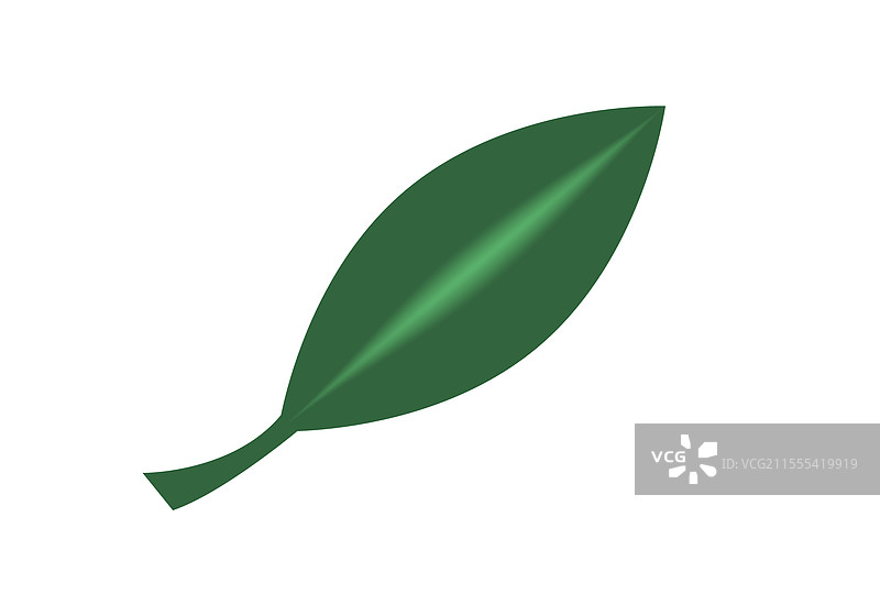 秋天的叶子图片素材