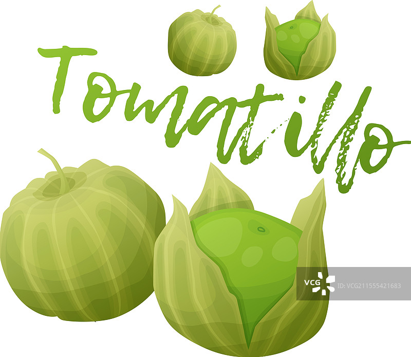 孤立在白色背景上的番茄椒图标图片素材