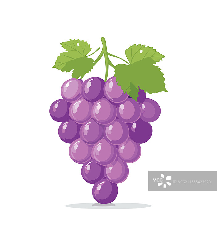 可爱的葡萄水果图片素材